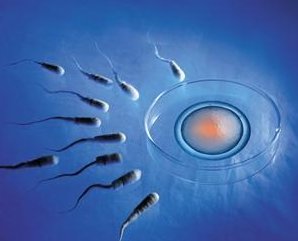 死精率80%的男性可以在新乐市做三代试管吗？公开2026做三代试管条件