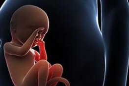 详细解读开原市做长方案试管婴儿费用，长方案和短方案成功率有差别吗？